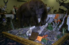 Competition ribbon from High Country Taxidermy